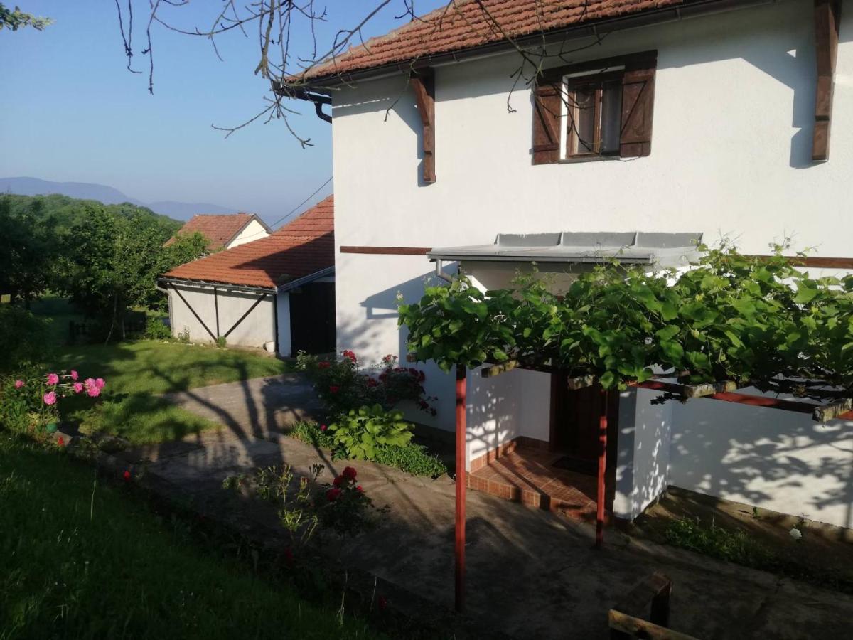 Vikendica I Vajat Vrbica Villa Kalesija Buitenkant foto